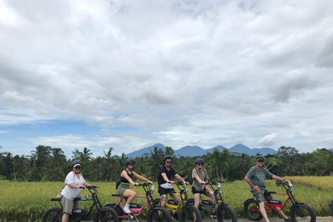 Ubud: Risterrasser och byar Halvdags Fat Tire E-Bike-tur