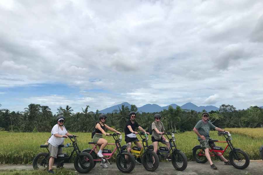 Ubud: Reisterrassen & Dörfer Halbtagestour mit dem Fat Tire E-Bike. Foto: GetYourGuide
