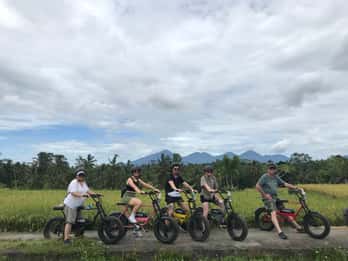 Ubud: Risterrasser og landsbyer - halvdagstur med Fat Tire-sykkel