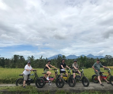 Ubud: Rice Terraces & Villages Half-Day Fat Tire E-Bike Tour