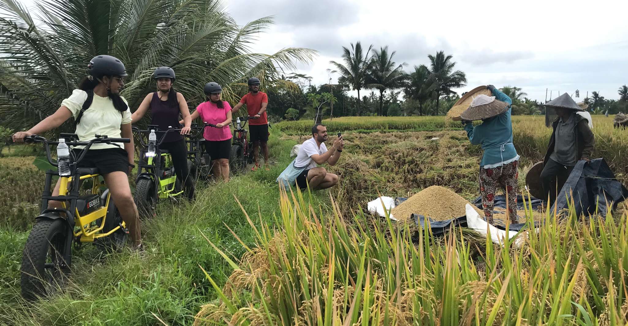 Ubud, Rice Terraces & Villages Half-Day Fat Tire E-Bike Tour - Housity