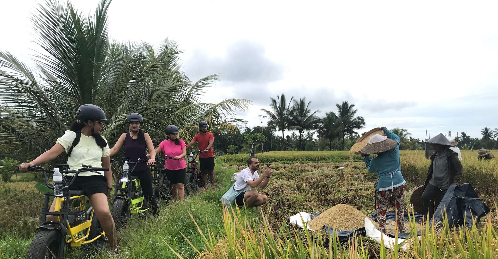 Ubud, Rice Terraces & Villages Half-Day Fat Tire E-Bike Tour - Housity