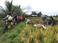Ubud, Rice Terrass & Villages Half-Day Fat Tire Tour E-Bike - Housity