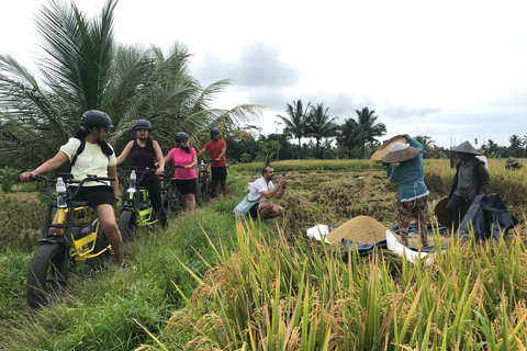 Ubud: Terraços de Arroz e Aldeias Excursão de bicicleta elétrica de meio dia para pneus gordos