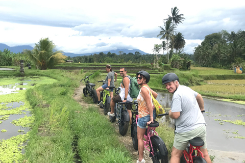 Ubud: Risterrasser och byar Halvdags Fat Tire E-Bike-tur