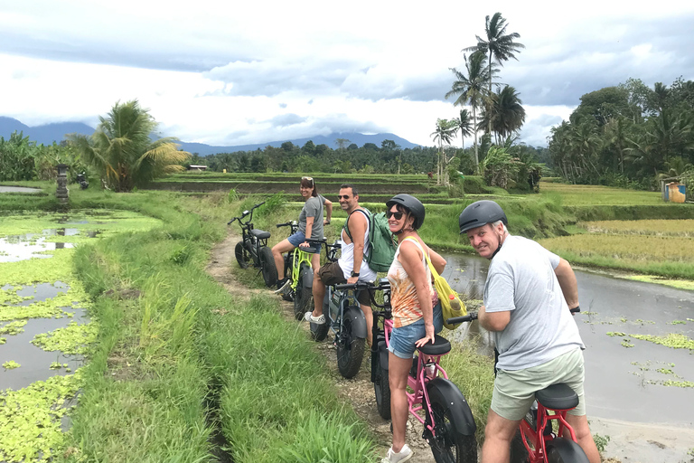 Ubud: Risterrasser och byar Halvdags Fat Tire E-Bike-tur