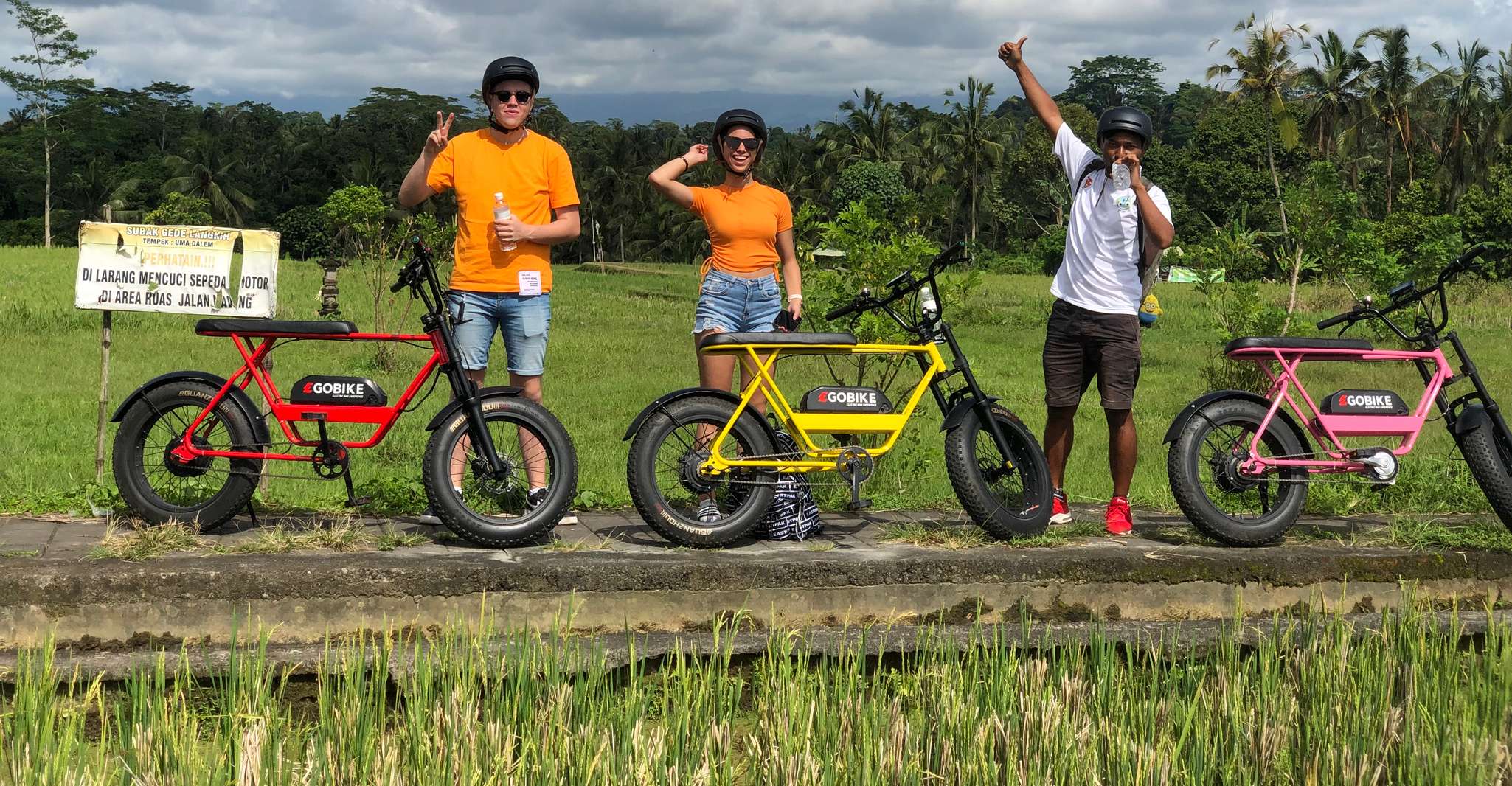 Ubud, Reisterrassen & Dörfer Halbtages Fat Tire E-Bike Tour - Hizvo