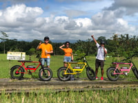 Ubud, Rice Terraces & Villages Escursione in E-Bike su Fat Tire di mezza giornata - Hizvo