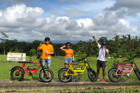 Ubud: Terraços de Arroz e Aldeias Excursão de bicicleta elétrica de meio dia para pneus gordos