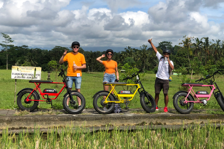 Ubud: Risterrasser och byar Halvdags Fat Tire E-Bike-tur