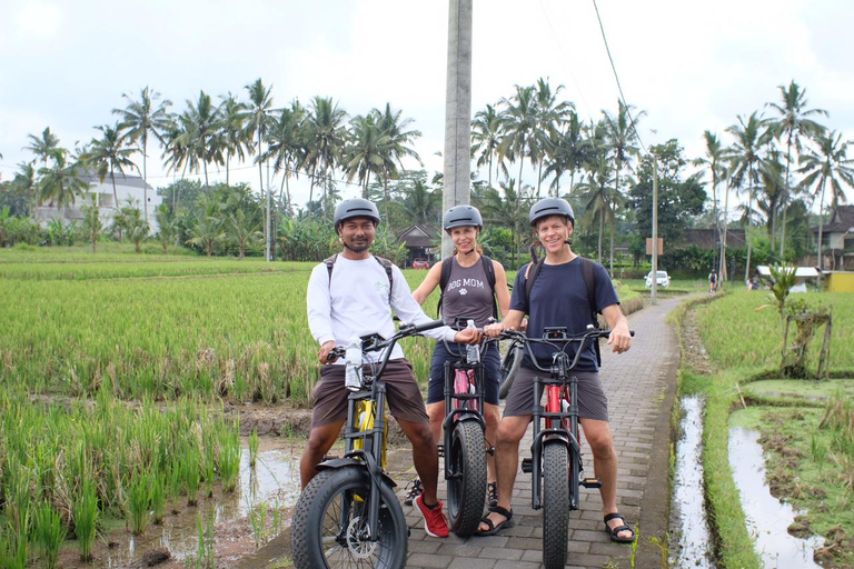 Ubud: Terraços de Arroz e Aldeias Excursão de bicicleta elétrica de meio dia para pneus gordos