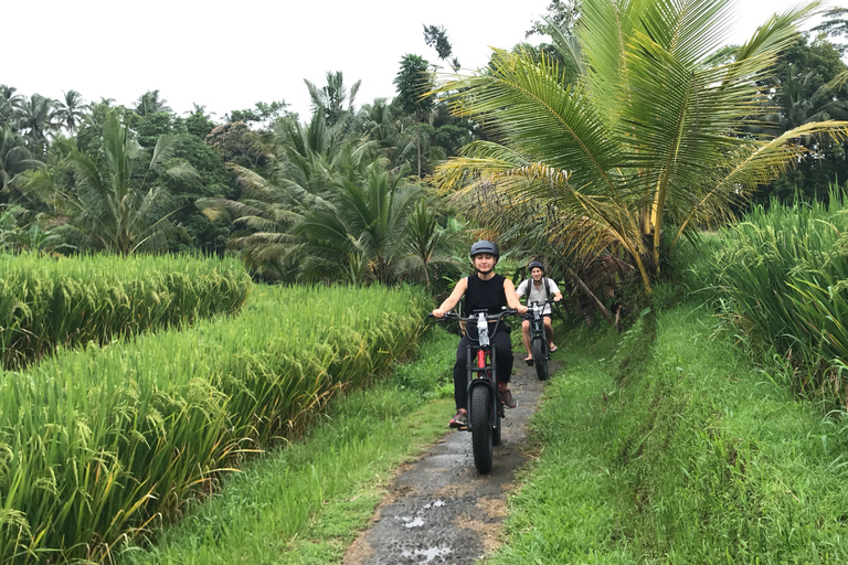 Ubud: Terraços de Arroz e Aldeias Excursão de bicicleta elétrica de meio dia para pneus gordos