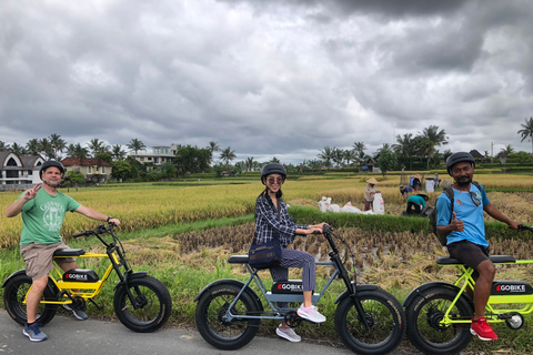 Ubud: Terraços de Arroz e Aldeias Excursão de bicicleta elétrica de meio dia para pneus gordos