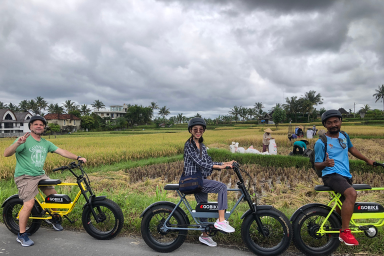 Half-Day Electric Fat Tire Bike Tour of Ubud