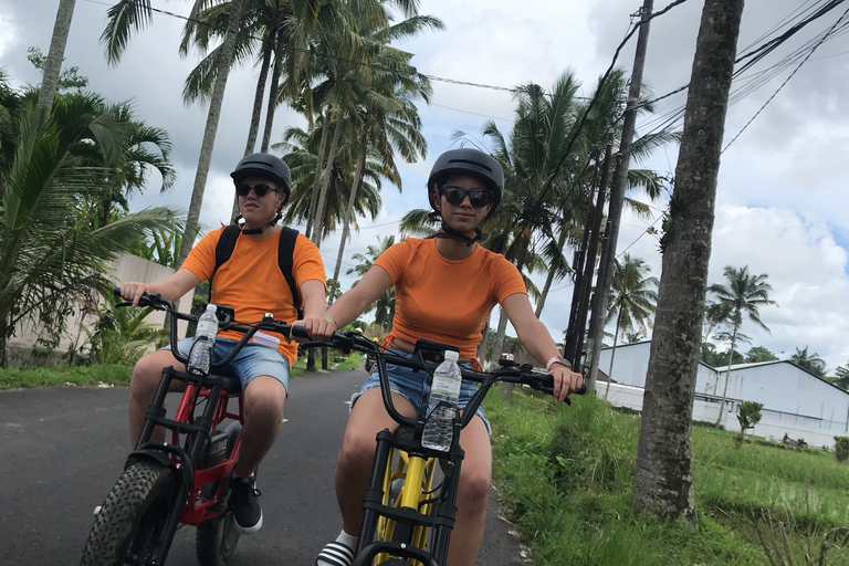 Ubud: Risterrasser och byar Halvdags Fat Tire E-Bike-tur