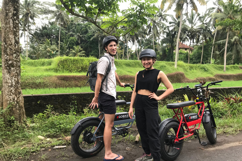 Ubud: Rice Terraces &amp; Villages Half-Day Fat Tire E-Bike Tour