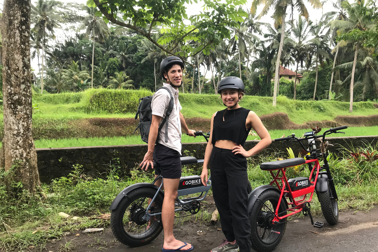 Ubud: Risterrasser och byar Halvdags Fat Tire E-Bike-tur