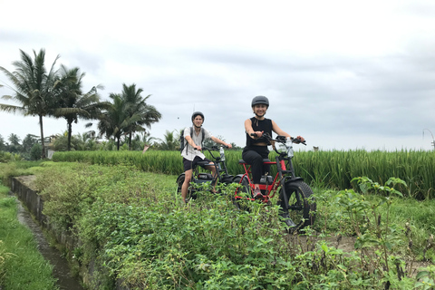 Ubud: Risterrasser och byar Halvdags Fat Tire E-Bike-tur