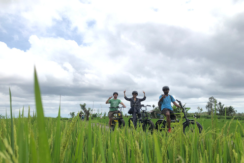 Ubud: Risterrasser och byar Halvdags Fat Tire E-Bike-tur