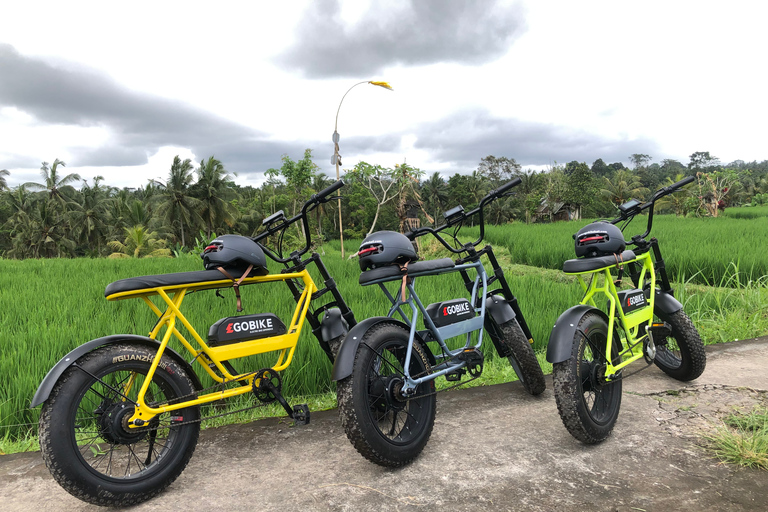 Ubud: Risterrasser och byar Halvdags Fat Tire E-Bike-tur