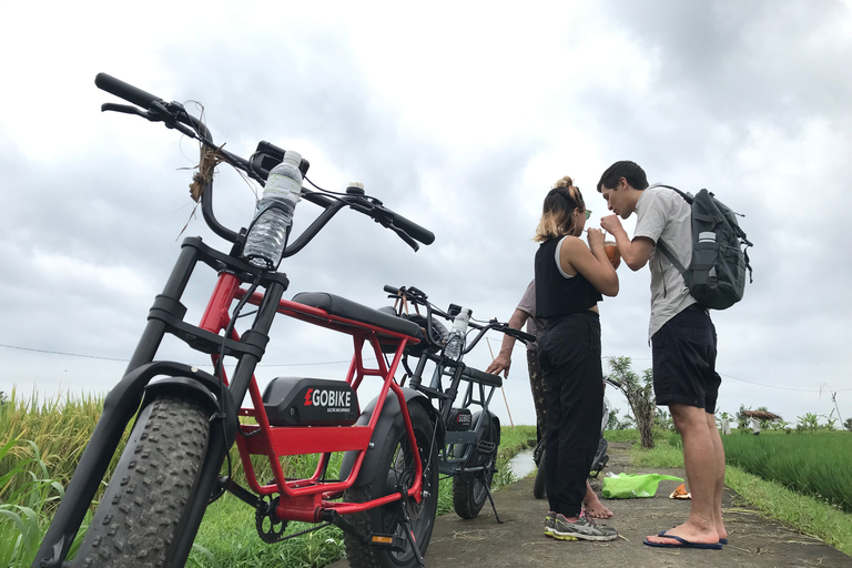 Ubud: Risterrasser och byar Halvdags Fat Tire E-Bike-tur