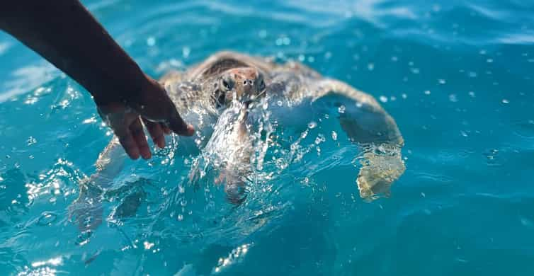 Aletas de Natación Larga Azul - Porto 