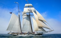 San Diego, Californian Tall Ship Sailing and Maritime Museum - Hizvo