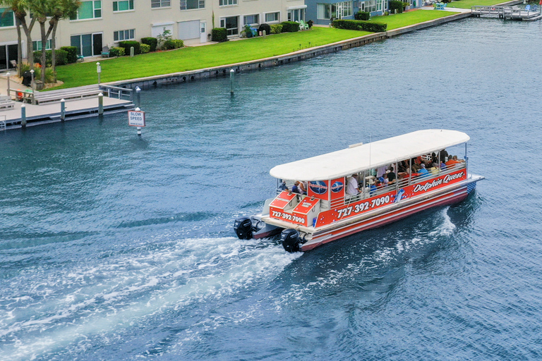 Plage de Madère : Croisière écologique guidée pour l&#039;observation des dauphins
