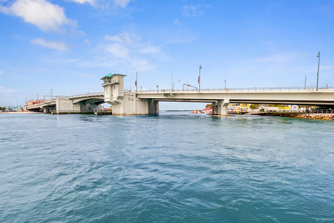 Plage de Madère : Croisière écologique guidée pour l&#039;observation des dauphins