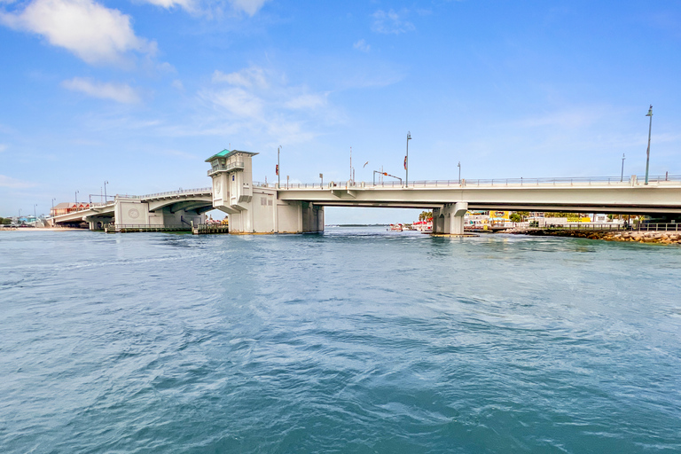 Plage de Madère : Croisière écologique guidée pour l&#039;observation des dauphins