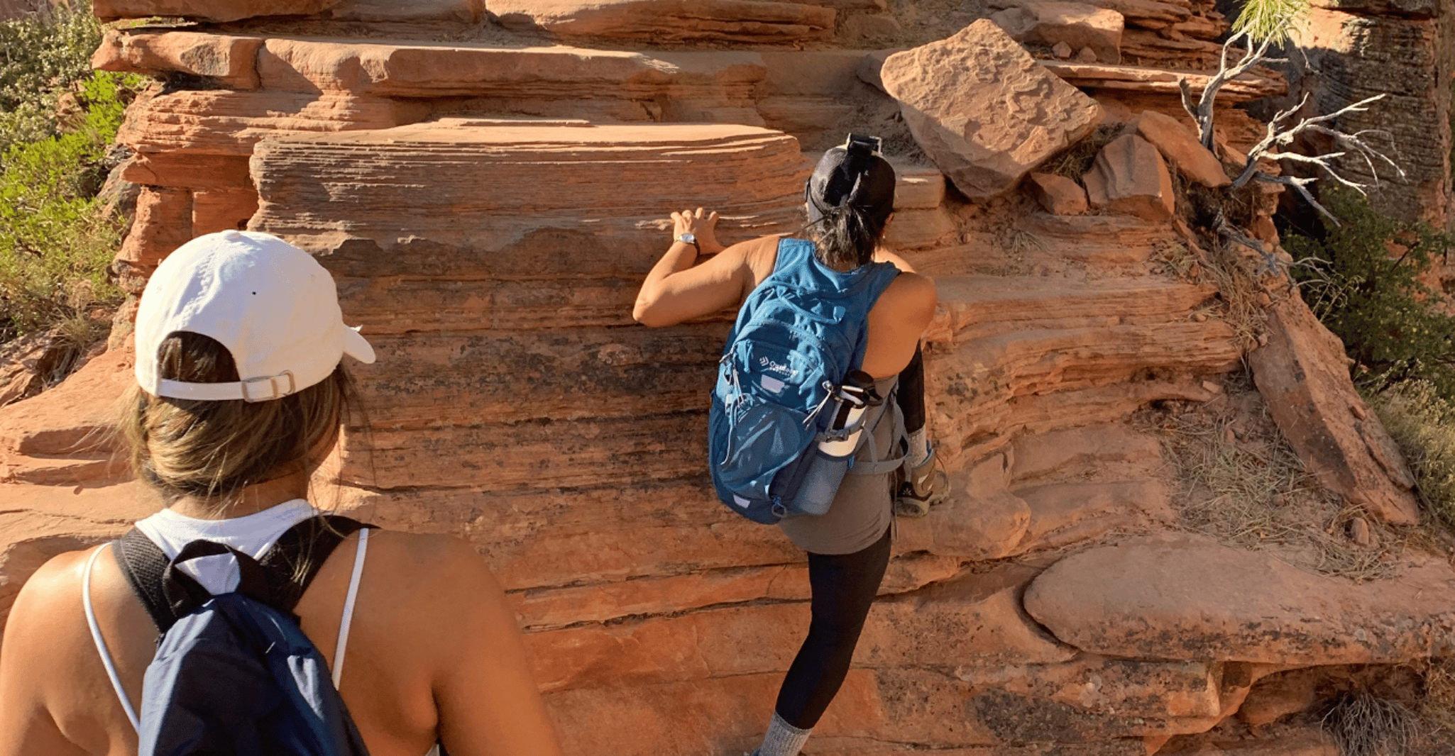 Springdale, Angels Landing Summit Hike guiado con permiso - Hizvo