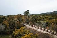 Ventura, visite guidée par vélo de rail avec stand de ferme stop - Housity