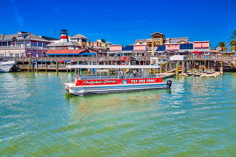 Plage de Madère : Croisière écologique guidée pour l&#039;observation des dauphins