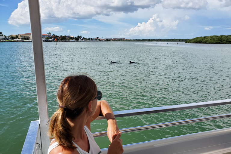 Plage de Madère : Croisière écologique guidée pour l&#039;observation des dauphins