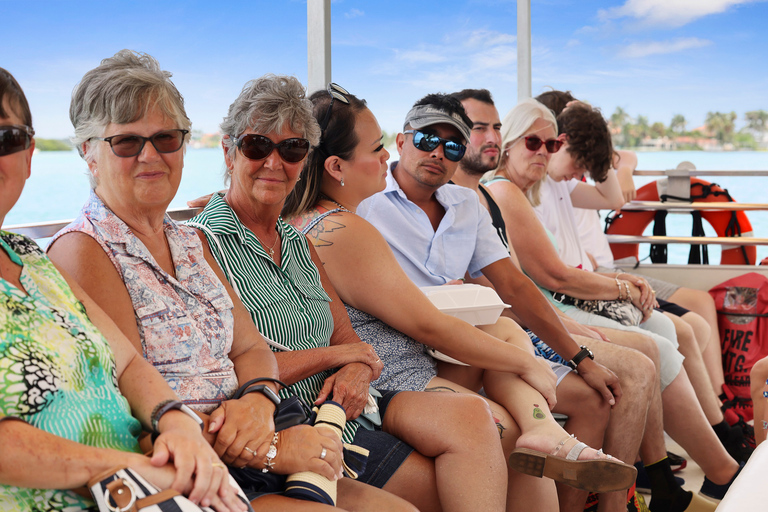 Plage de Madère : Croisière écologique guidée pour l&#039;observation des dauphins