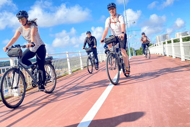 Lisbonne : visite guidée de 3 h à vélo électrique