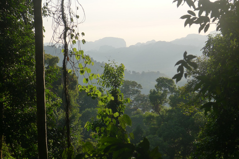 Krabi : Maison de soins pour éléphants et excursion aux chutes d'eau à 7 niveaux de Huay Tho