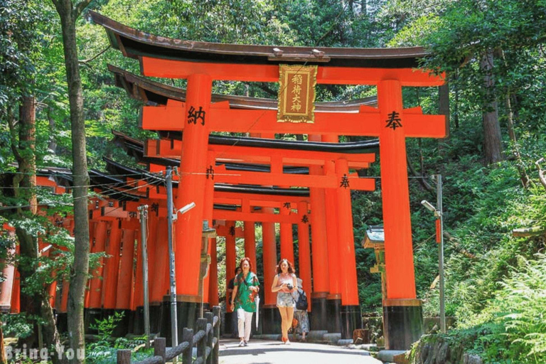 Kyoto : visite privée pour toute la famille avec chauffeur-guide
