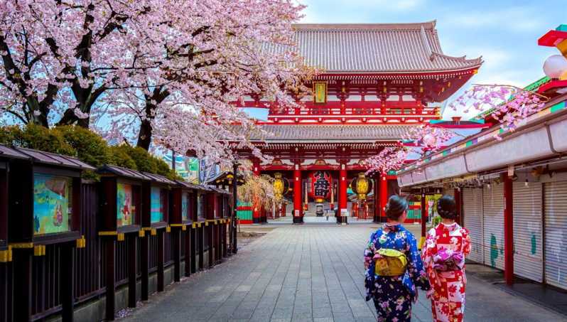 Tokyo: Full Day Private Walking Tour with a Guide