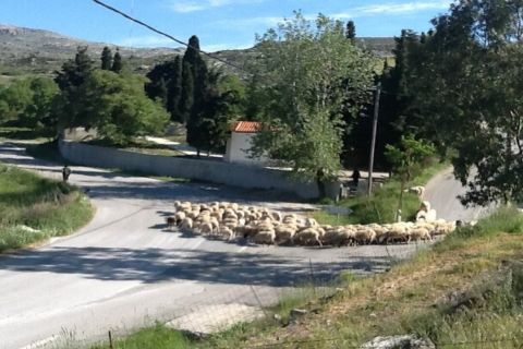 Heraklion: Cretan Villages Day Trip with Monastery of Arkadi