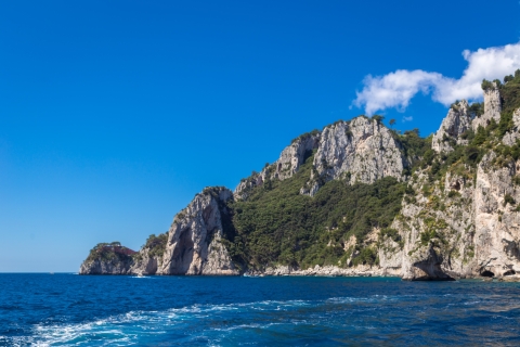 From Pompeii, Castellammare, Vico Equense: Capri minicruiseFrom Vico-with swim stop