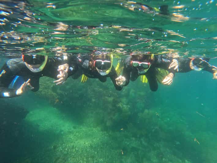 Arrábida: Snorkeling experience in Arrábida Marine Reserve | GetYourGuide