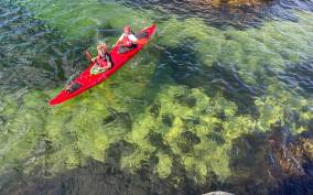 Færvik: Raet National Park Sea Kayaking Trip