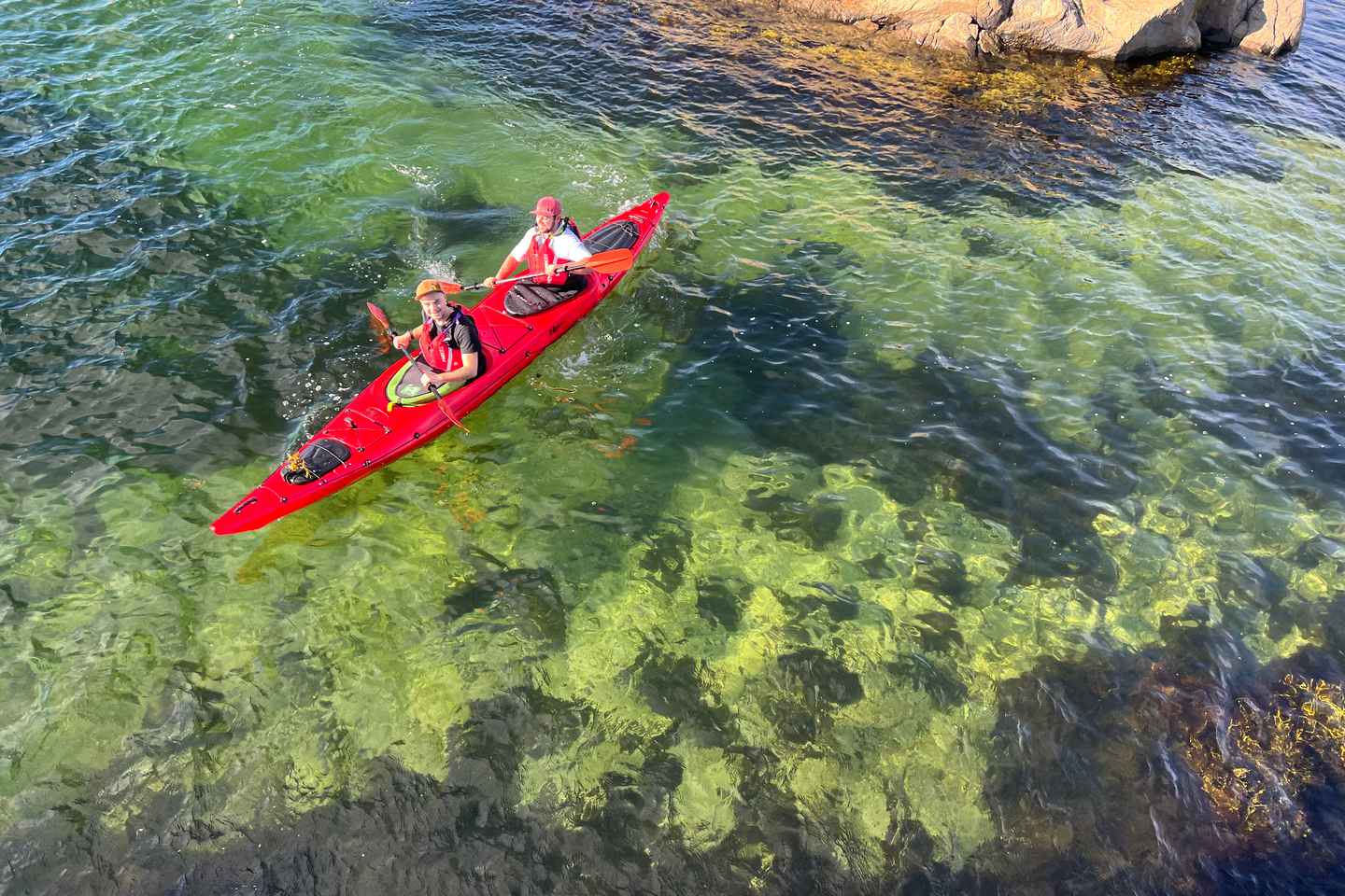 Færvik: Raet National Park Sea Kayaking Trip