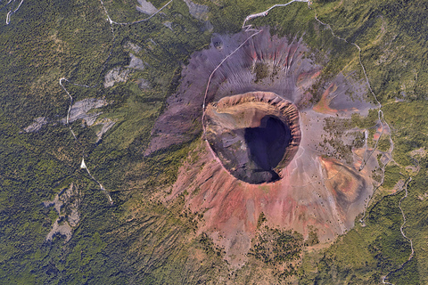 Mount Vesuvius: Biljett som låter dig hoppa över kön och ljudguide