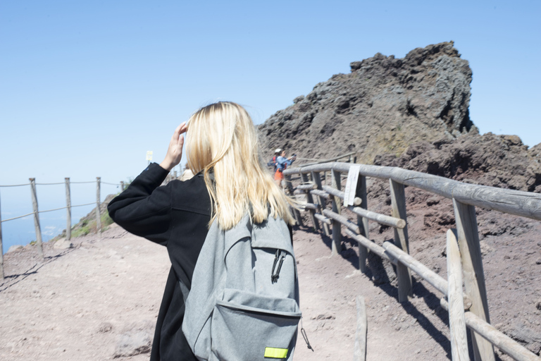 Mount Vesuvius: Biljett som låter dig hoppa över kön och ljudguide