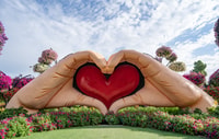 Dubai, ticket-the-line per Dubai Miracle Garden - Housity