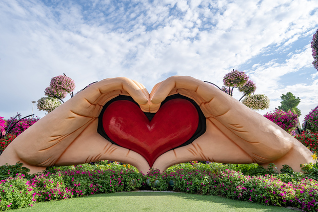 Dubai Miracle Garden: biglietto salta-la-fila e trasferimento