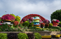 Dubai, ticket-the-line per Dubai Miracle Garden - Housity