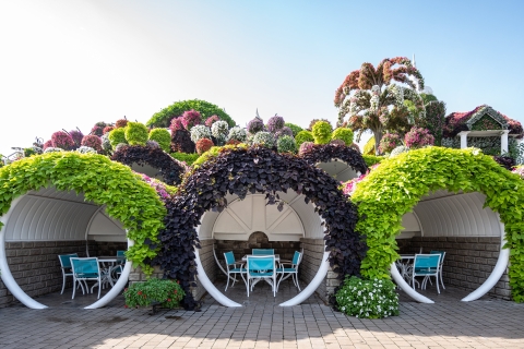 Dubái: entrada sin colas al Dubai Miracle Garden